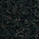 Lapsang Souchong